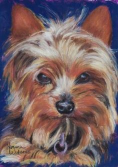 236x334 Yorkie Art Print, Watercolor Dog Painting, Animal Painting - Terrier Painting