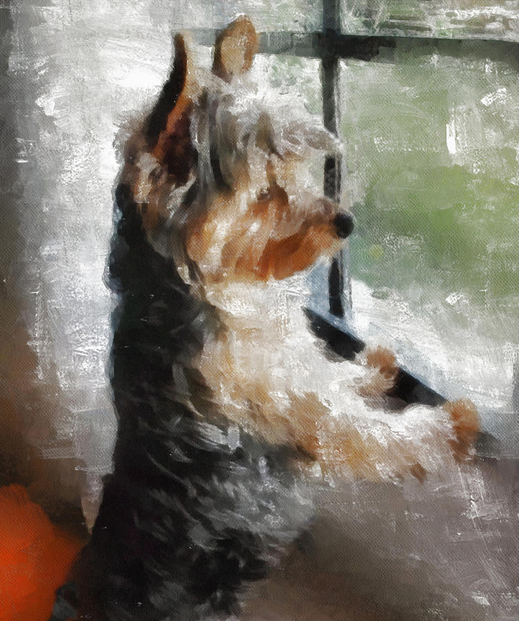 753x900 Yorkshire Terrier Paintings Fine Art America - Terrier Painting