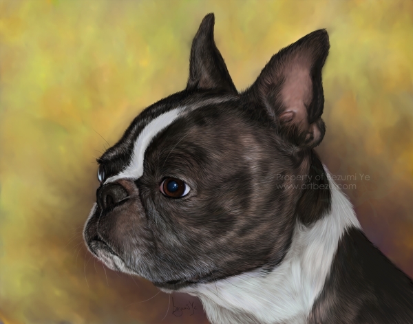 600x471 Boston Terrier Painting By Bezumiye - Terrier Painting