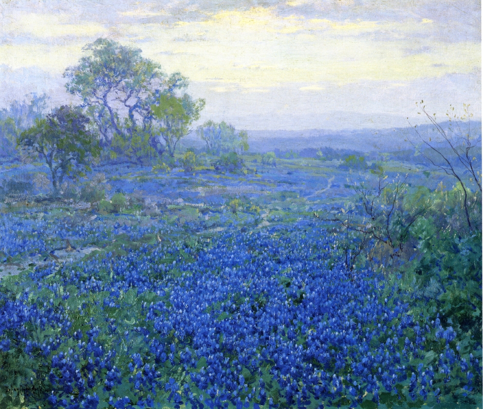 992x841 A Cloudy Day Bluebonnets Near San Antonio Texas Painting Julian - Texas Bluebonnet Painting