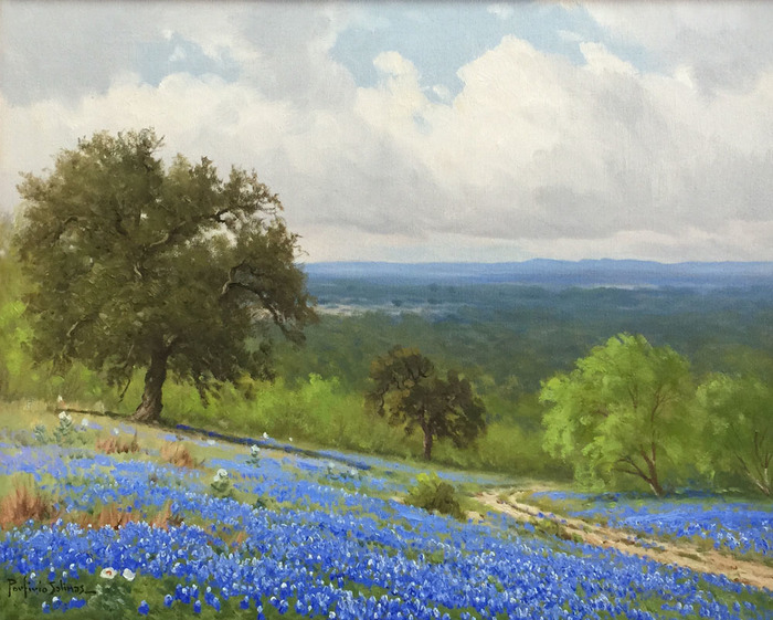 700x561 Texas Art For Sale Vintage Texas Paintings - Texas Bluebonnet Painting