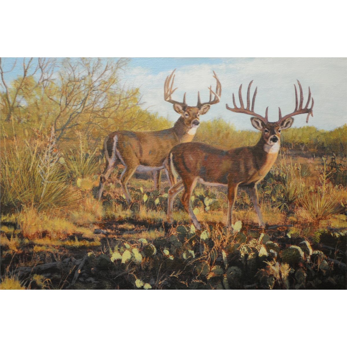 1200x1200 Texas Trophy Ii - Texas Oil Painting