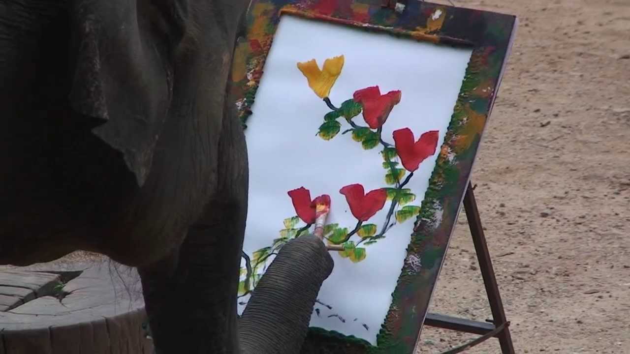 1280x720 Elephant Painting In Thailand! - Thai Elephant Painting