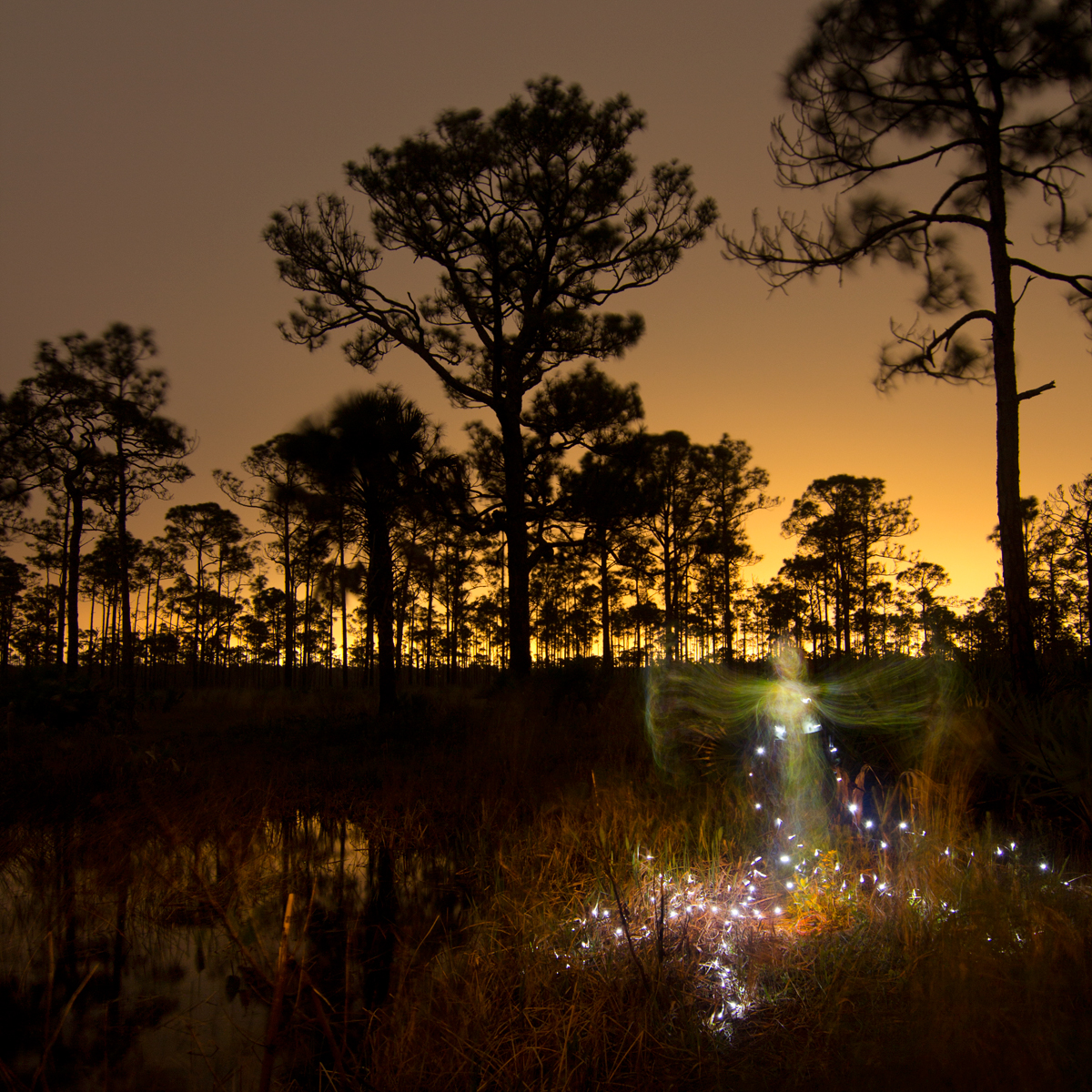 1200x1200 Light Painting Apparitions Jason D. Page - The Apparition Painting