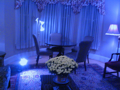 500x375 The Blue Room Laura Bruno's Blog - The Blue Room Painting