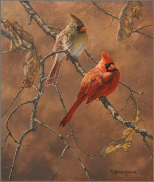 507x600 Cardinalsoriginal Song Bird Oil Painting Cardinal Painting - The Cardinal Painting