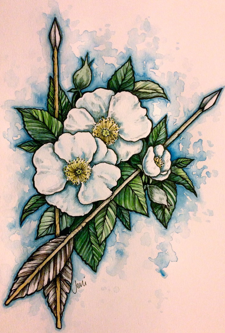 736x1086 Cherokee Rose By Jenimal - The Cherokee Rose Painting