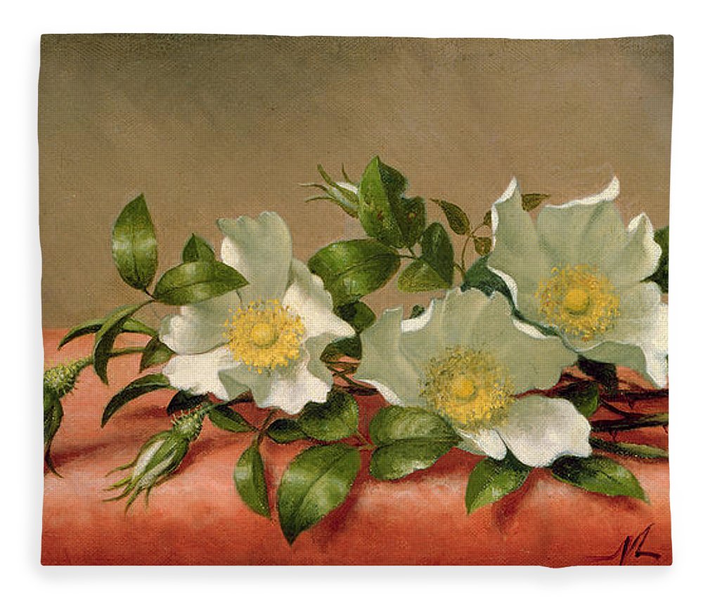 1000x860 Cherokee Roses Fleece Blanket For Sale By Martin Johnson Heade - The Cherokee Rose Painting