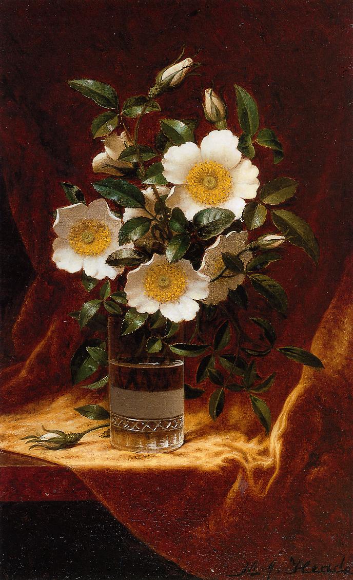 688x1130 Cherokee Roses In A Glass 1883 1895 Painting Martin Johnson - The Cherokee Rose Painting