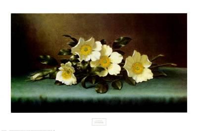 400x266 Four Cherokee Roses Art Print By Martin Johnson Heade The New - The Cherokee Rose Painting