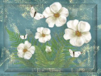 400x300 Page 16 - The Cherokee Rose Painting