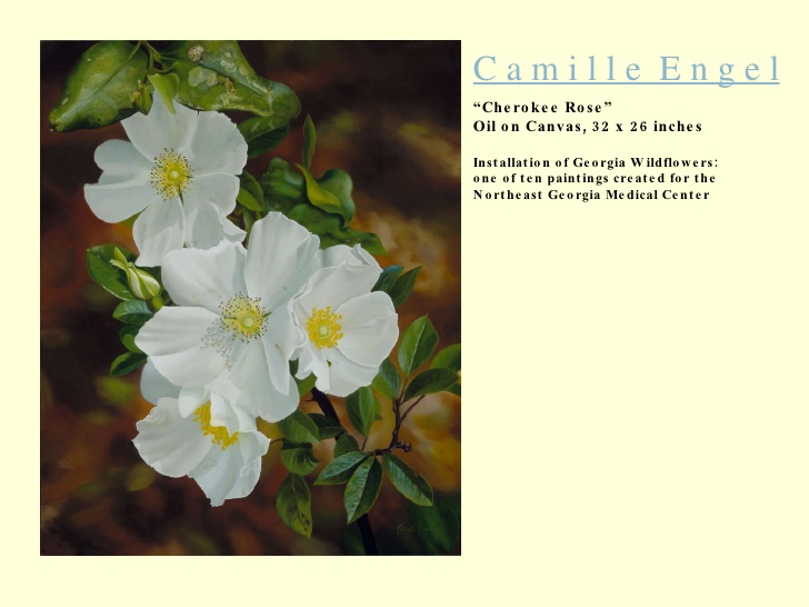 728x546 Camille Engel Oil Paintings - The Cherokee Rose Painting