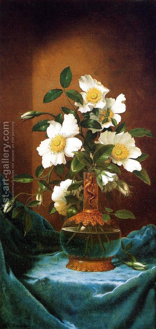 538x1133 White Cherokee Roses In A Salamander Vase Martin Johnson Heade - The Cherokee Rose Painting