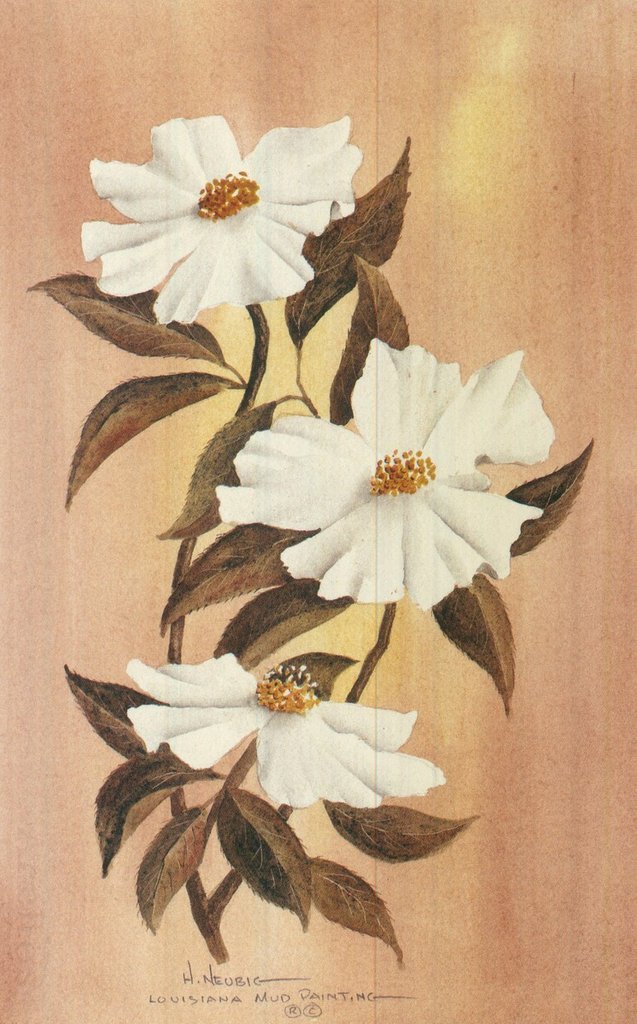637x1024 Cherokee Rose Louisiana Mud Paintings - The Cherokee Rose Painting