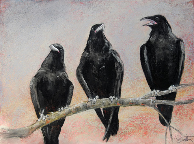 672x500 Raven And Crow Paintings In Pastel Or Encaustic Olympia Washington - The Crow Painting