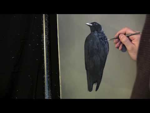 480x360 Simple Crow Painting Lesson Preview. Full Lesson Available - The Crow Painting