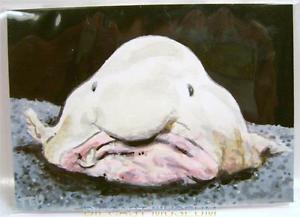 300x217 Fat Head Fish Sketch Card Painting By Ted Dastic Jr 11 The Deep - The Deep Painting