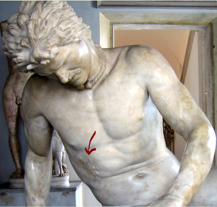 755x719 Dying Gaul And The Realism Of Details - The Dying Gaul Painting