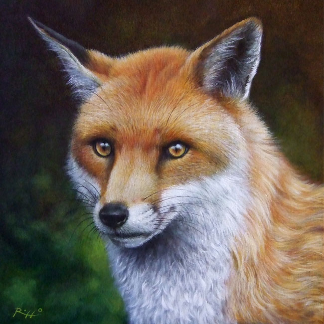 650x650 The Fox Original Fox Painting Wildlife Art By Roberto Rizzo - The Fox Painting