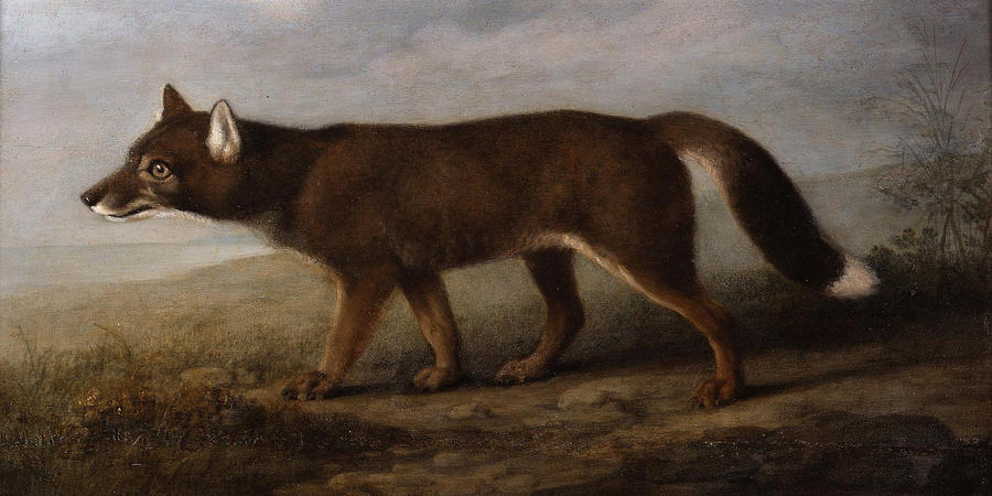 900x450 The Fox Painting By Motionage Designs - The Fox Painting