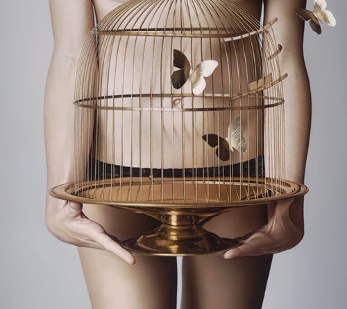 500x446 The Gilded Cage (Detail) - The Gilded Cage Painting