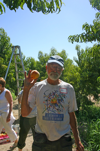320x480 On Gleaning Edible East Bay - The Gleaning Painting