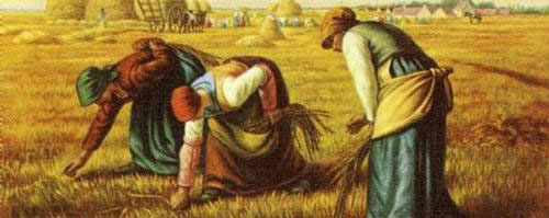 500x199 On Gleaning And Farming - The Gleaning Painting