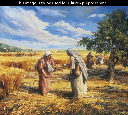 527x472 Ruth Gleaning In The Fields (Ruth And Naomi) - The Gleaning Painting
