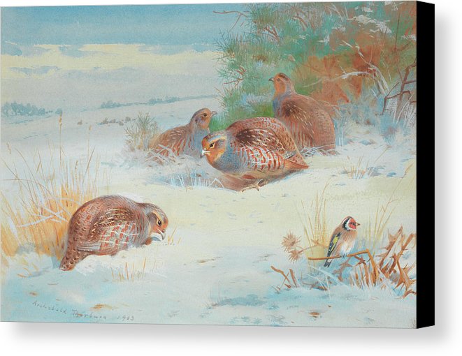 661x510 Partridge And A Goldfinch In A Winter Landscape Canvas Print - The Goldfinch Painting Print