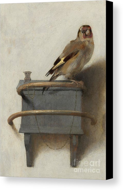 478x740 The Goldfinch, 1654 Canvas Print Canvas Art By Carel Fabritius - The Goldfinch Painting Print