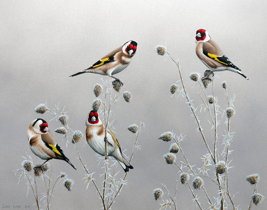 545x428 Winter Goldfinches. A Limited Edition Print By Chris Lodge - The Goldfinch Painting Print