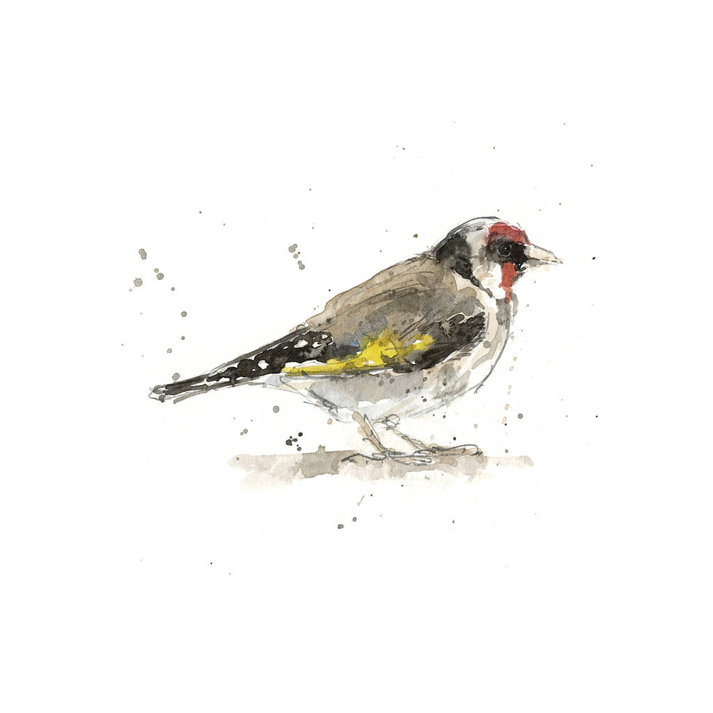 1024x1024 Limited Edition, Garden Bird Print, Goldfinch By Zaza Shelley - The Goldfinch Painting Print