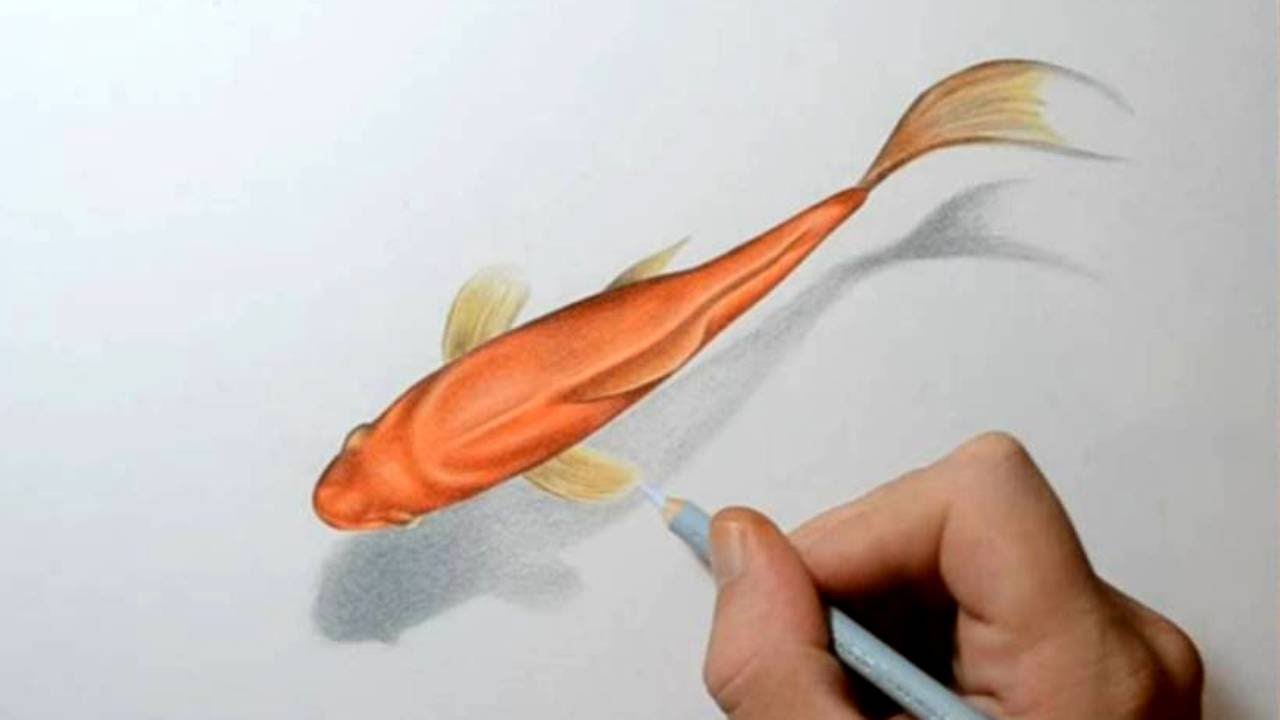 1280x720 How To Draw A Goldfish - The Goldfish Painting
