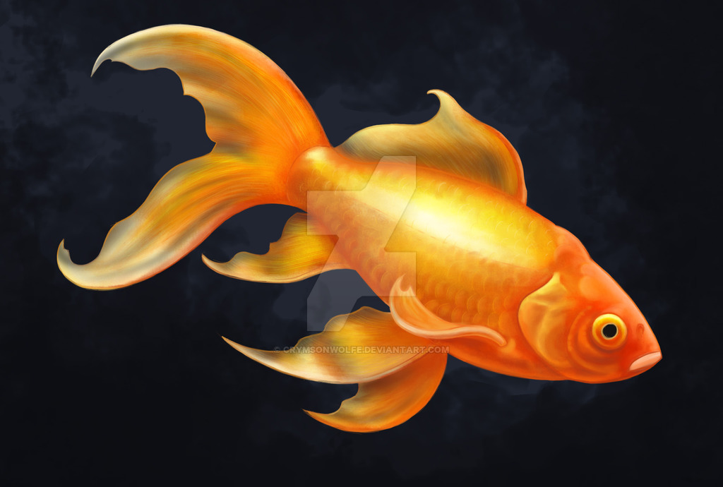 1024x690 Painted Goldfish By Crymsonwolfe - The Goldfish Painting