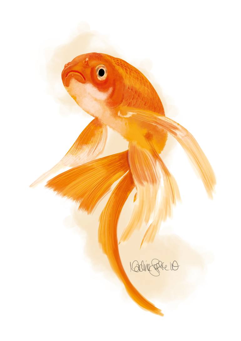 770x1091 Saatchi Art The Goldfish Painting By Nadine Sophie Waiblinger - The Goldfish Painting