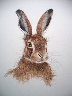 236x314 Bewitched - The Hare Painting
