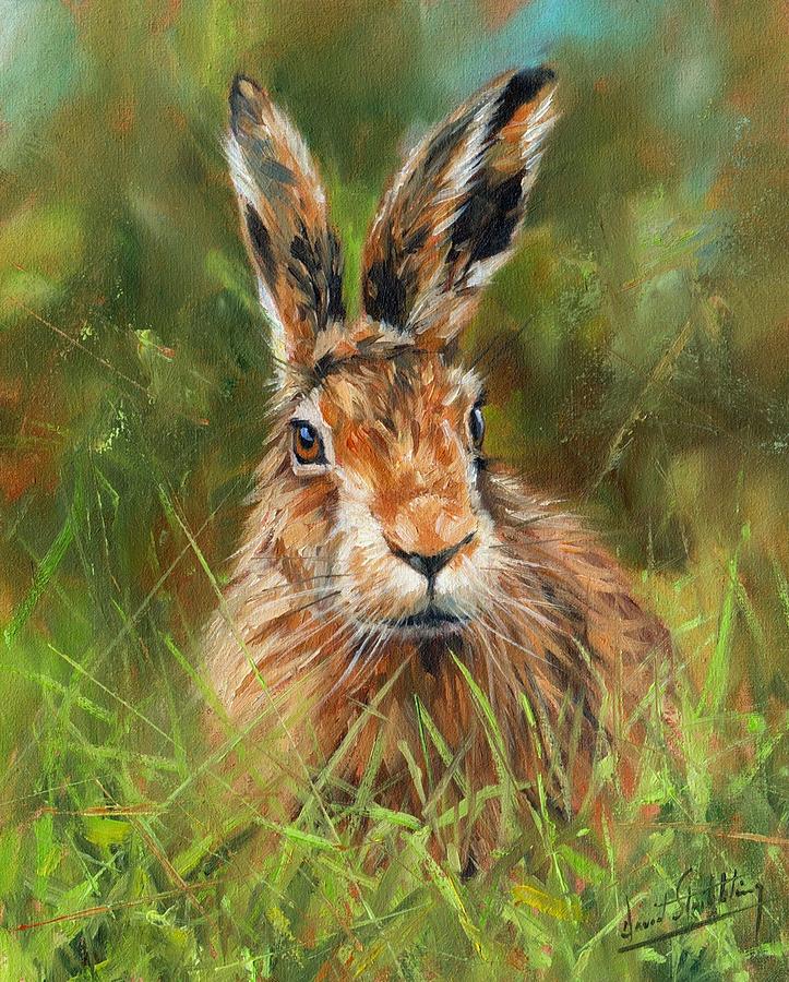 The Hare Painting at Explore collection of The