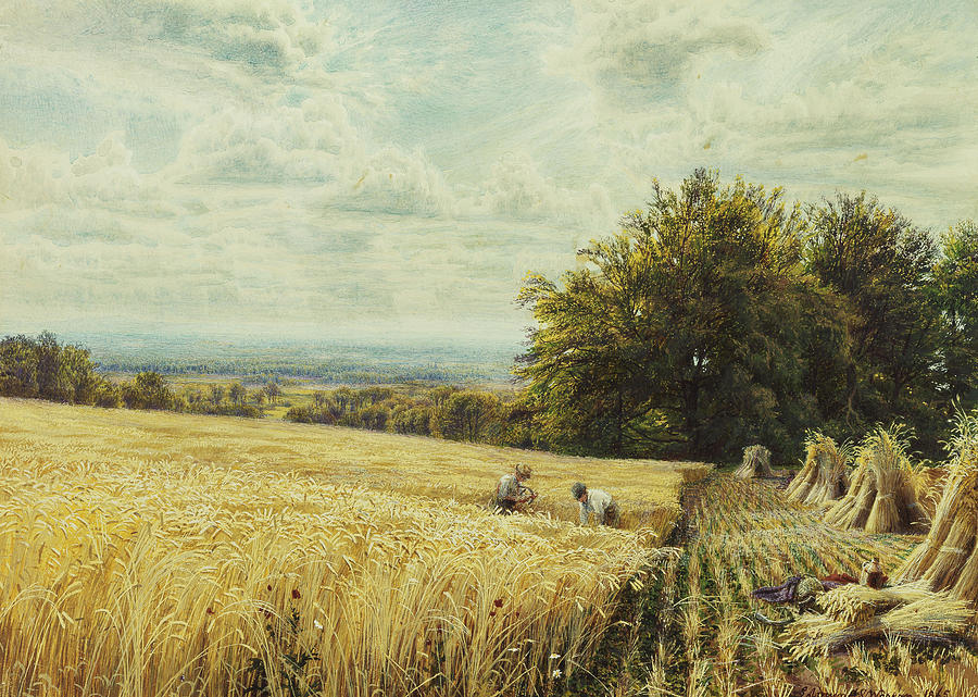 900x641 The Harvesters Painting By Edmund George Warren - The Harvesters Painting