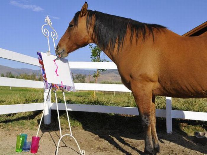 700x525 Horse Painting - The Horse Painting