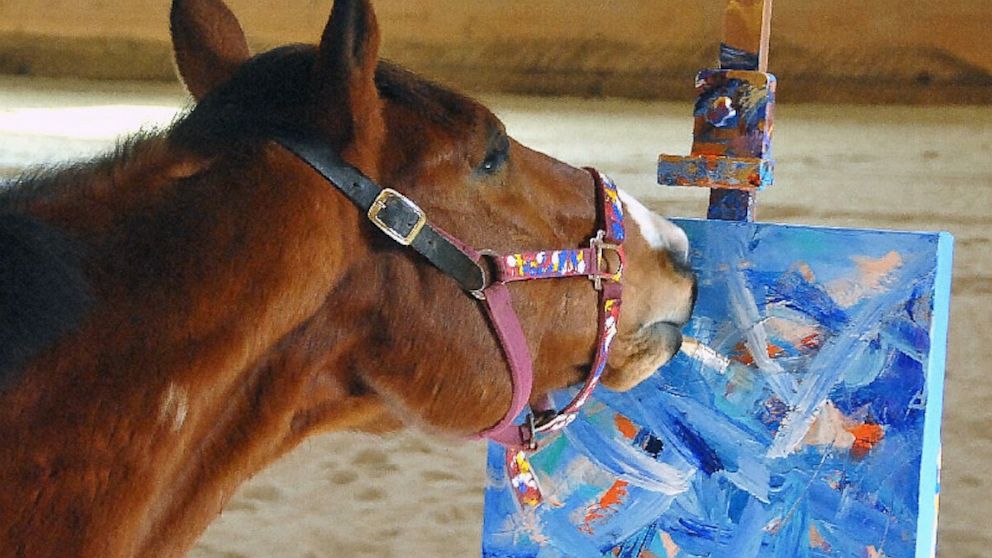 992x558 Metro The Painting Racehorse Saves His Own Life - The Horse Painting