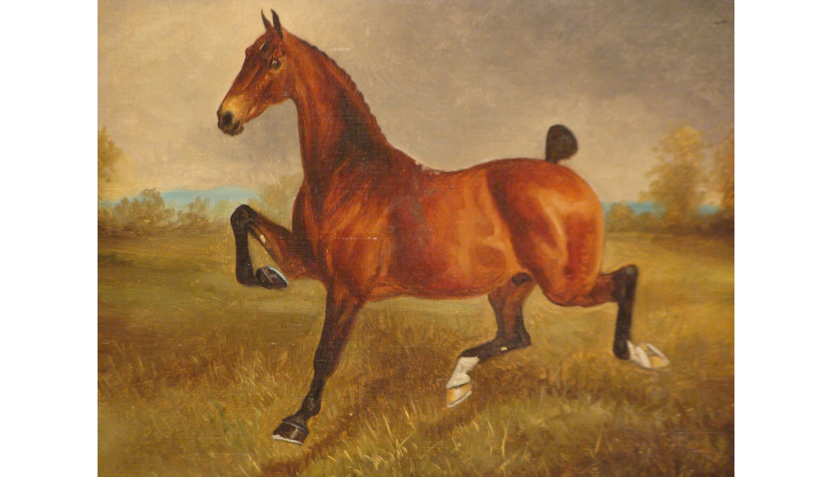 2880x1653 Oil Painting Of A Horse By Herbert St John Jones (1921 England - The Horse Painting