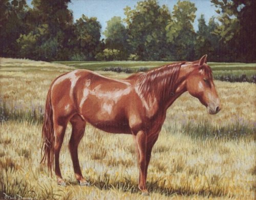 500x391 Paintings Of Horses Mark Downey, Artist Of Traditional Realism - The Horse Painting