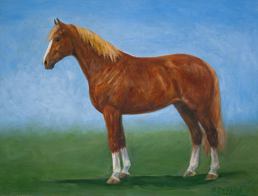 900x684 Portrait Of A Horse Painting By Margaret Siemieniak - The Horse Painting