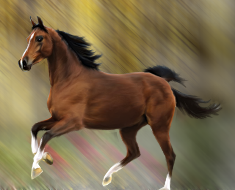 The Horse Painting at Explore collection of The Horse Painting