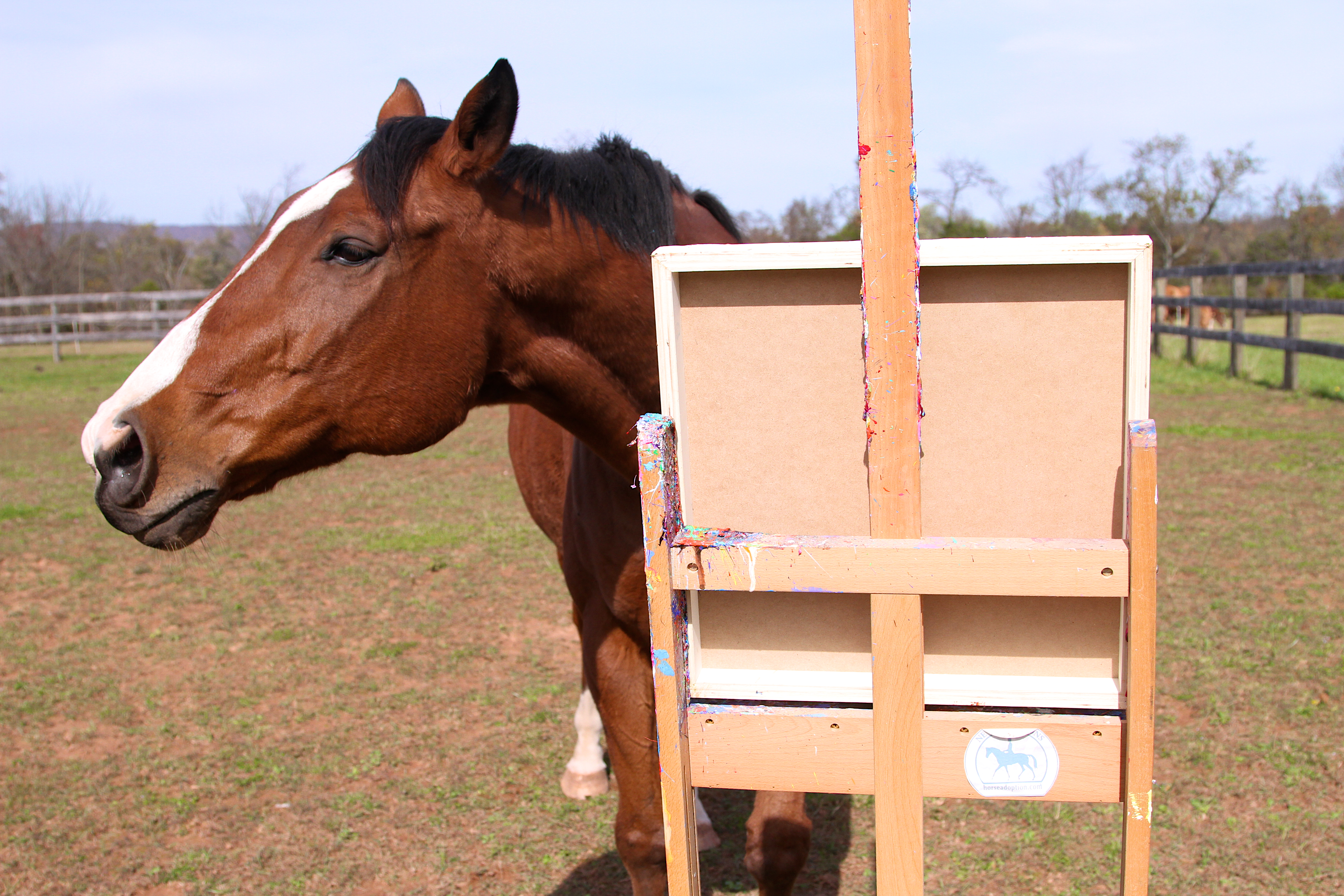 5184x3456 Does A Painting Horse Really Like To Paint Ron Amp Metro's Art Blog - The Horse Painting