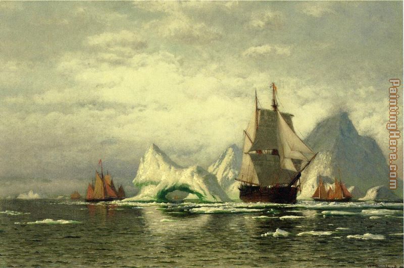 800x531 William Bradford Arctic Whaler Homeward Bound Among The Icebergs - The Icebergs Painting