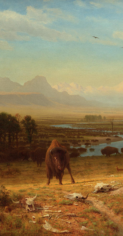 471x900 The Last Of The Buffalo Detail 2 Painting By Albert Bierstadt - The Last Buffalo Painting