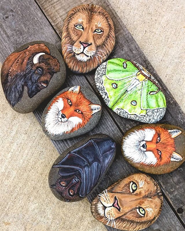 640x800 Stones Painted In The Last 2 Days. Buffalo, Bat And Top Lion Sold - The Last Of The Buffalo Painting