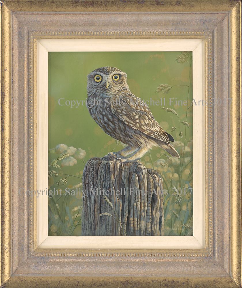 840x1000 Little Owl Original Oil Painting By Ben Waddams - The Little Owl Painting