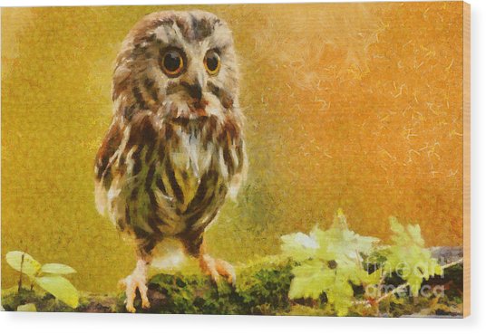 536x369 Little Owl Painting By Elizabeth Coats - The Little Owl Painting